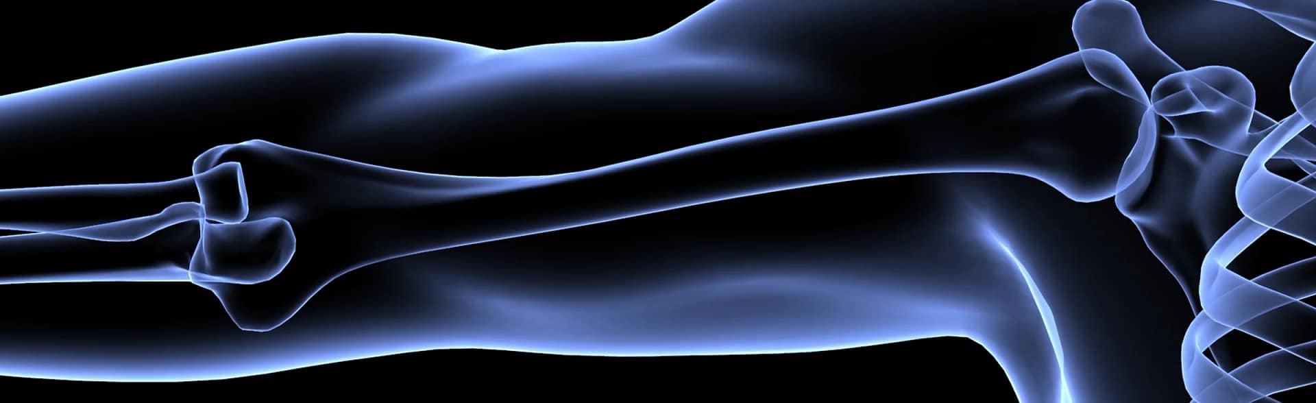 Illustration to display the humerous bone